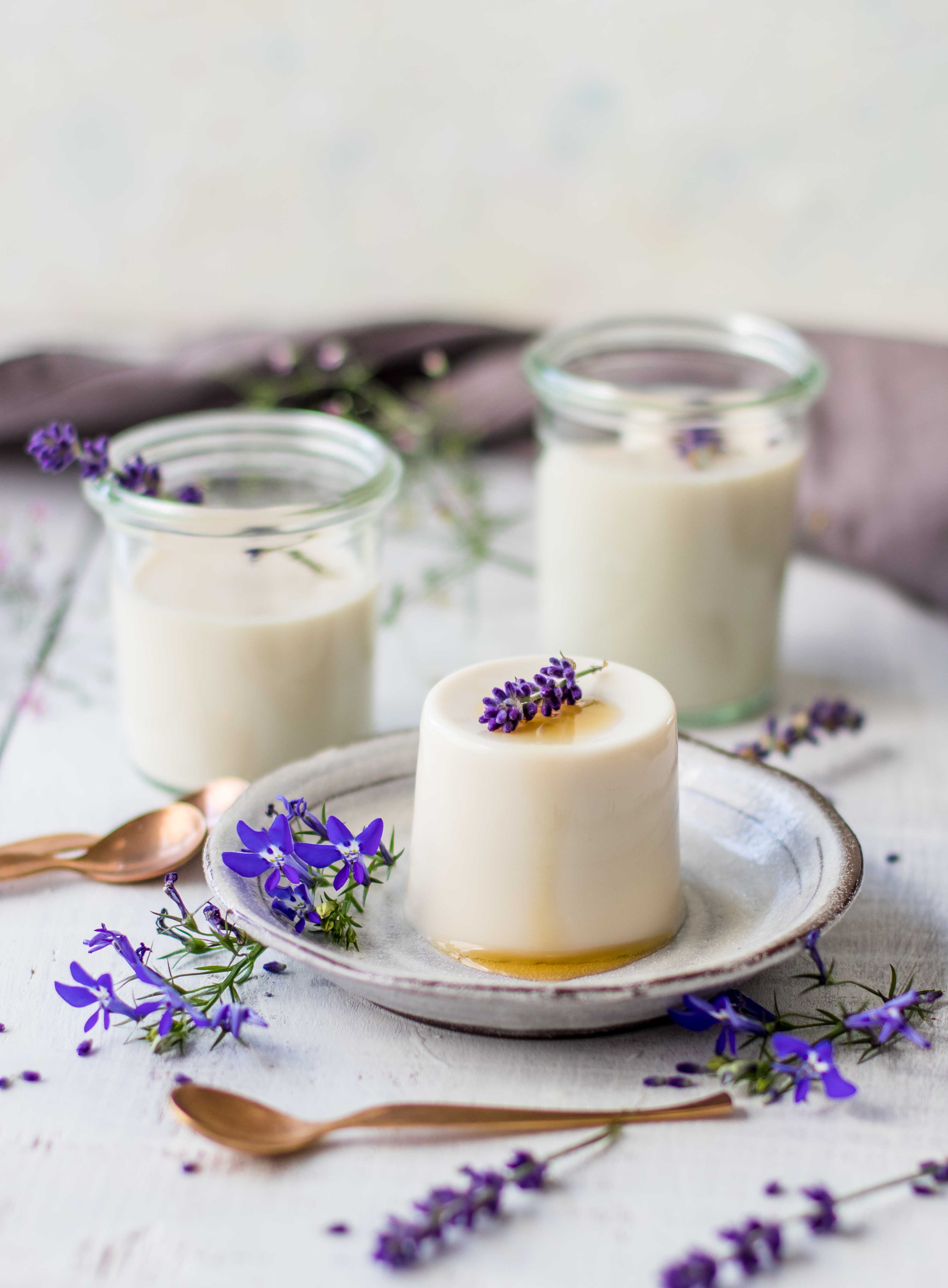Lavendel Panna Cotta | vegan - Dessert - Klara`s Life